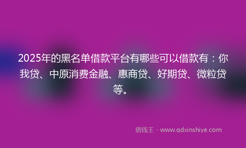 2025年的黑名单借款平台有哪些可以借款有：你我贷、中原消费金融、惠商贷、好期贷、微粒贷等。