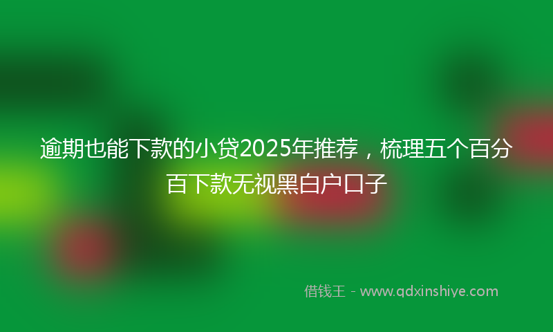 逾期也能下款的小贷2025年推荐，梳理五个百分百下款无视黑白户口子