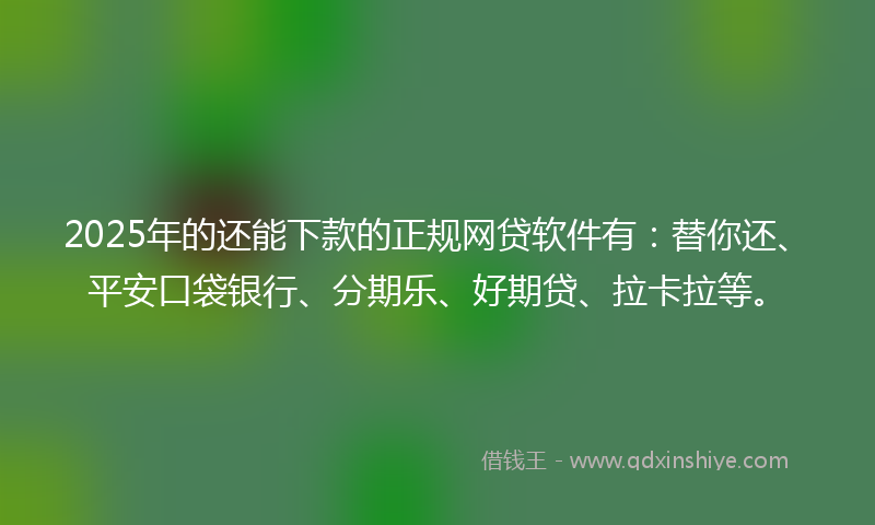 2025年的还能下款的正规网贷软件有：替你还、平安口袋银行、分期乐、好期贷、拉卡拉等。