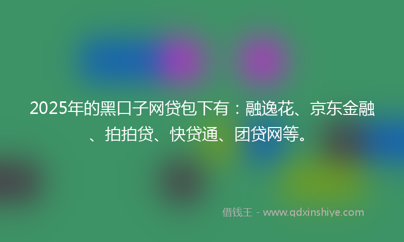 2025年的黑口子网贷包下有：融逸花、京东金融、拍拍贷、快贷通、团贷网等。