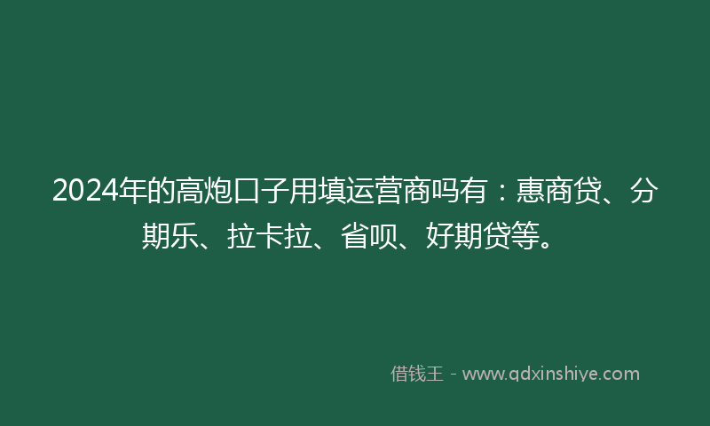 2024年的高炮口子用填运营商吗有：惠商贷、分期乐、拉卡拉、省呗、好期贷等。