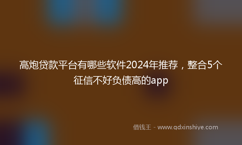 高炮贷款平台有哪些软件2024年推荐，整合5个征信不好负债高的app