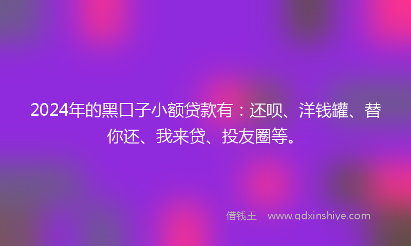 2024年的黑口子小额贷款有：还呗、洋钱罐、替你还、我来贷、投友圈等。