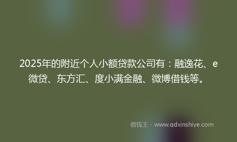 2025年的附近个人小额贷款公司有：融逸花、e微贷、东方汇、度小满金融、微博借钱等。