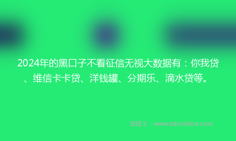 2024年的黑口子不看征信无视大数据有：你我贷、维信卡卡贷、洋钱罐、分期乐、滴水贷等。