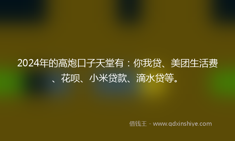 2024年的高炮口子天堂有：你我贷、美团生活费、花呗、小米贷款、滴水贷等。