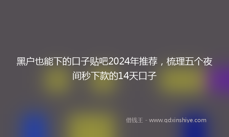 黑户也能下的口子贴吧2024年推荐，梳理五个夜间秒下款的14天口子