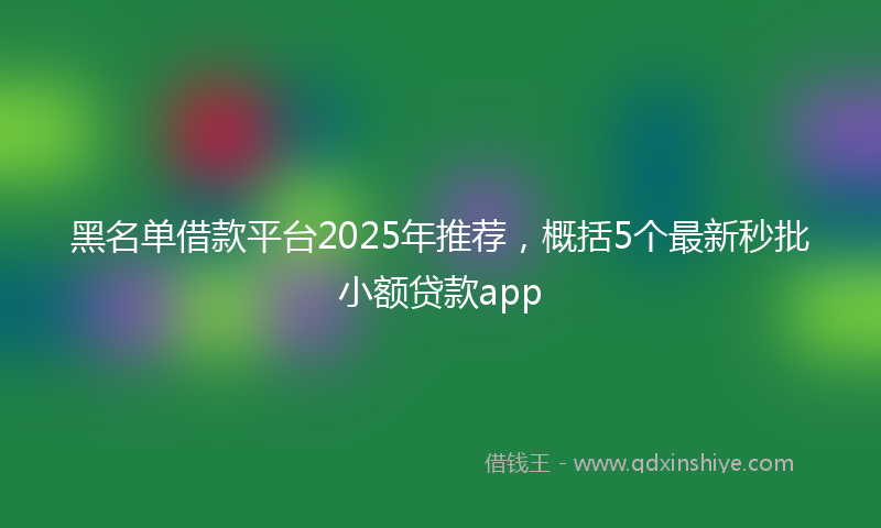 黑名单借款平台2025年推荐，概括5个最新秒批小额贷款app