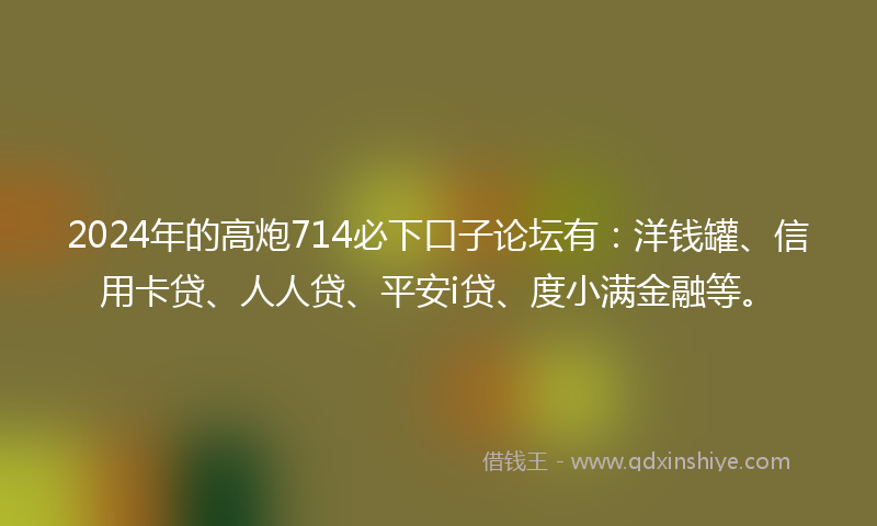 2024年的高炮714必下口子论坛有：洋钱罐、信用卡贷、人人贷、平安i贷、度小满金融等。