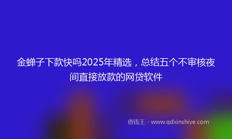 金蝉子下款快吗2025年精选，总结五个不审核夜间直接放款的网贷软件