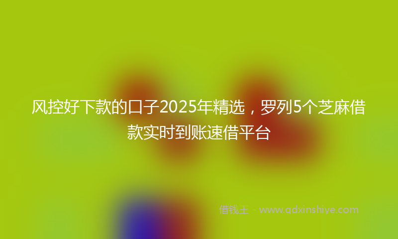 风控好下款的口子2025年精选，罗列5个芝麻借款实时到账速借平台