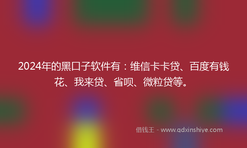 2024年的黑口子软件有：维信卡卡贷、百度有钱花、我来贷、省呗、微粒贷等。