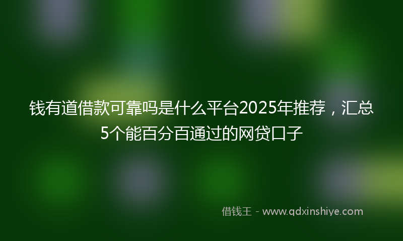 钱有道借款可靠吗是什么平台2025年推荐，汇总5个能百分百通过的网贷口子