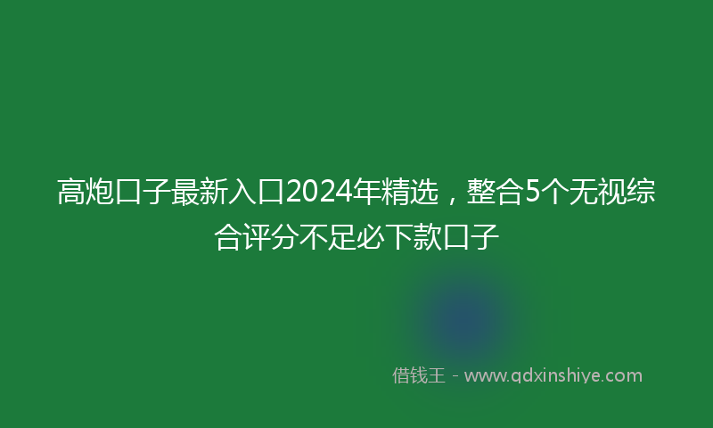 高炮口子最新入口2024年精选，整合5个无视综合评分不足必下款口子