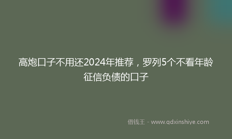 高炮口子不用还2024年推荐，罗列5个不看年龄征信负债的口子