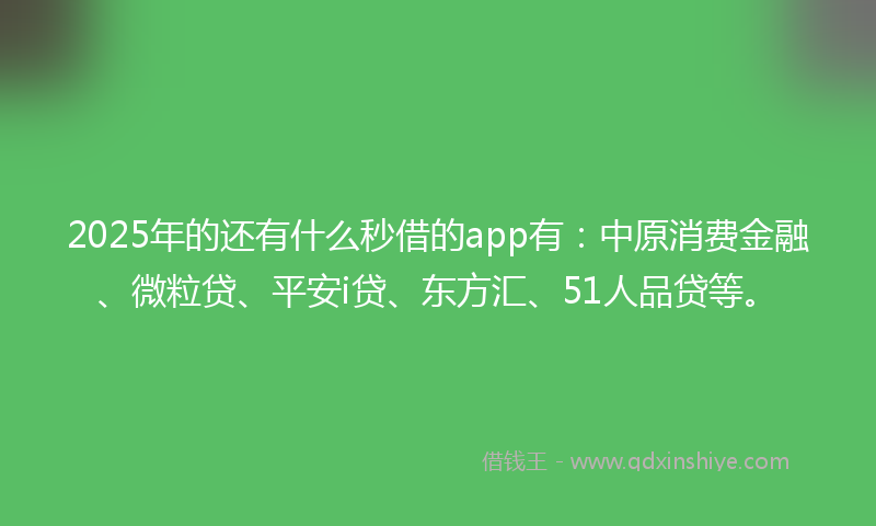 2025年的还有什么秒借的app有：中原消费金融、微粒贷、平安i贷、东方汇、51人品贷等。