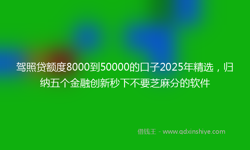 驾照贷额度8000到50000的口子2025年精选，归纳五个金融创新秒下不要芝麻分的软件