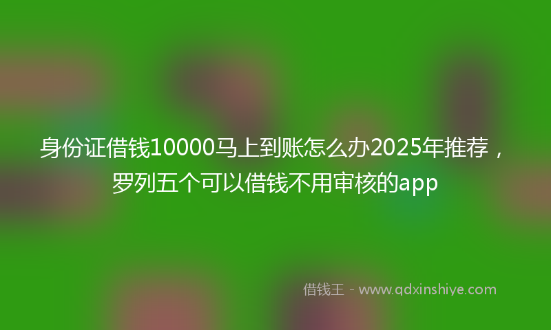 身份证借钱10000马上到账怎么办2025年推荐，罗列五个可以借钱不用审核的app