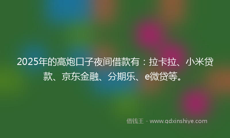 2025年的高炮口子夜间借款有：拉卡拉、小米贷款、京东金融、分期乐、e微贷等。