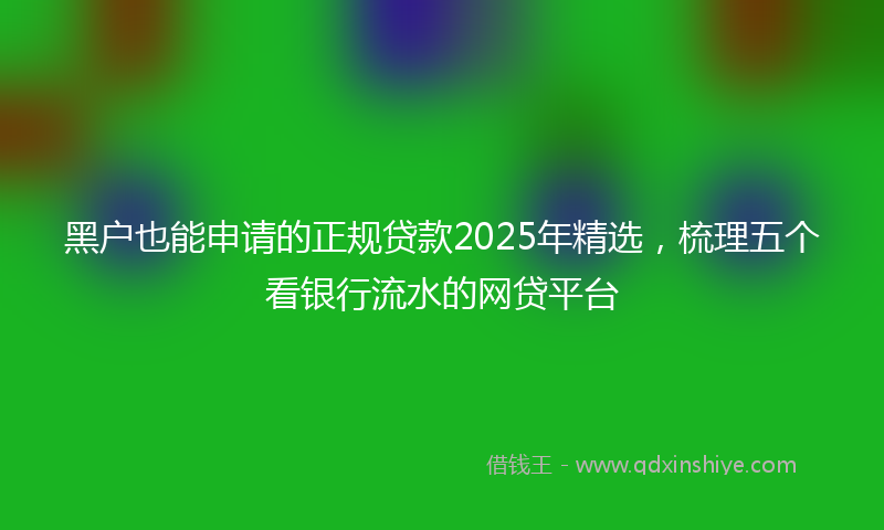 黑户也能申请的正规贷款2025年精选，梳理五个看银行流水的网贷平台