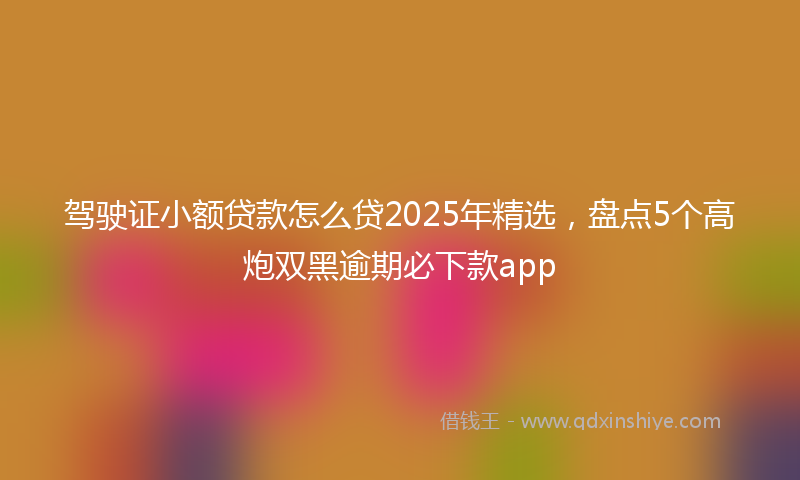 驾驶证小额贷款怎么贷2025年精选，盘点5个高炮双黑逾期必下款app