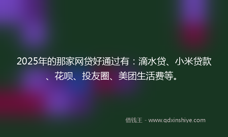2025年的那家网贷好通过有：滴水贷、小米贷款、花呗、投友圈、美团生活费等。