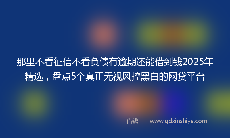 那里不看征信不看负债有逾期还能借到钱2025年精选，盘点5个真正无视风控黑白的网贷平台