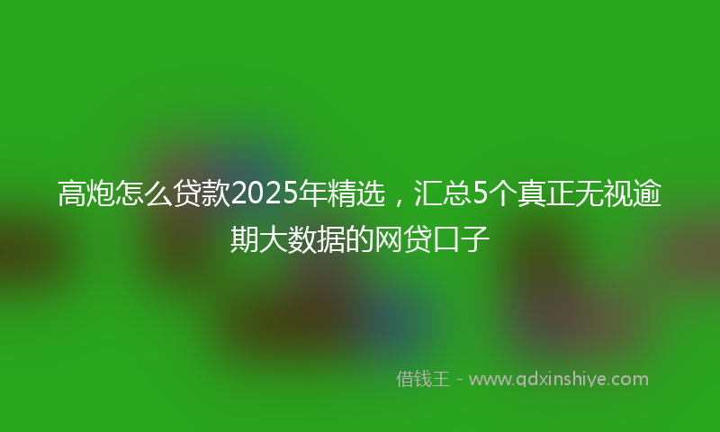 高炮怎么贷款2025年精选，汇总5个真正无视逾期大数据的网贷口子