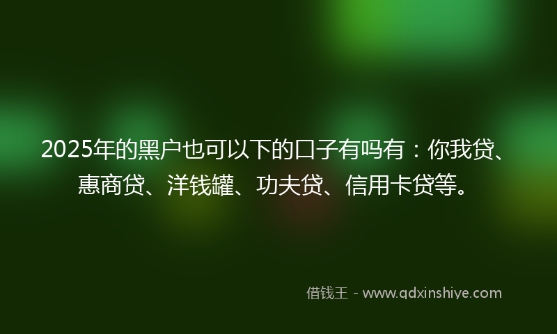 2025年的黑户也可以下的口子有吗有：你我贷、惠商贷、洋钱罐、功夫贷、信用卡贷等。