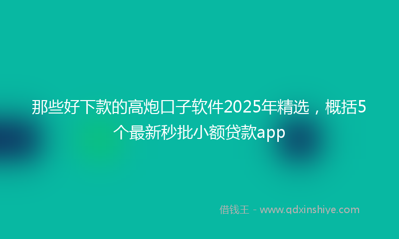 那些好下款的高炮口子软件2025年精选，概括5个最新秒批小额贷款app