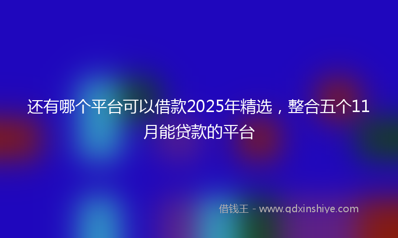 还有哪个平台可以借款2025年精选，整合五个11月能贷款的平台