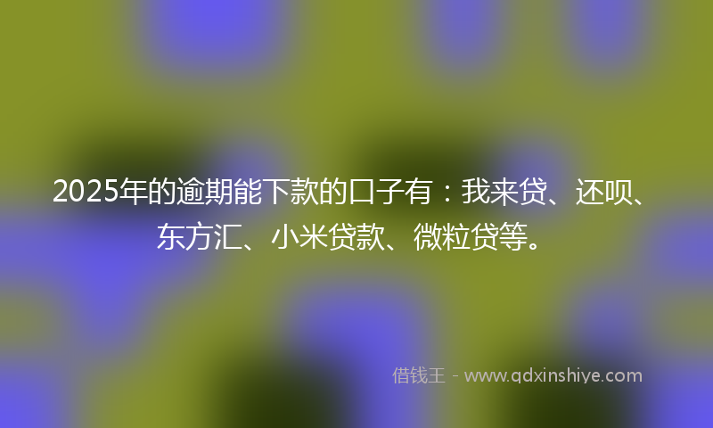 2025年的逾期能下款的口子有：我来贷、还呗、东方汇、小米贷款、微粒贷等。