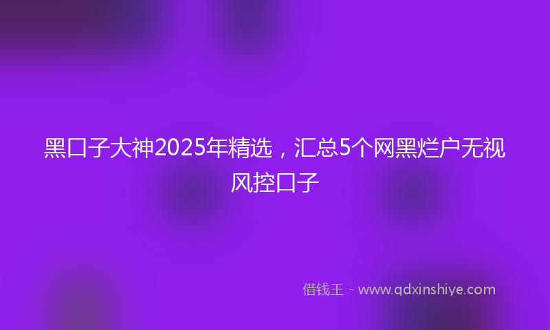 黑口子大神2025年精选，汇总5个网黑烂户无视风控口子