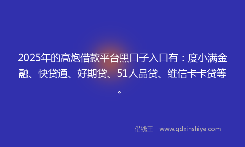 2025年的高炮借款平台黑口子入口有：度小满金融、快贷通、好期贷、51人品贷、维信卡卡贷等。