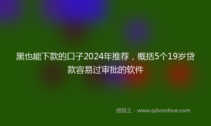黑也能下款的口子2024年推荐，概括5个19岁贷款容易过审批的软件