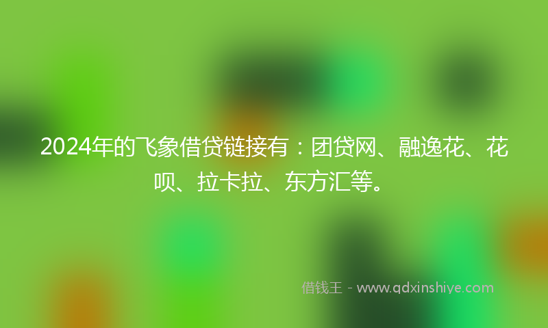 2024年的飞象借贷链接有：团贷网、融逸花、花呗、拉卡拉、东方汇等。