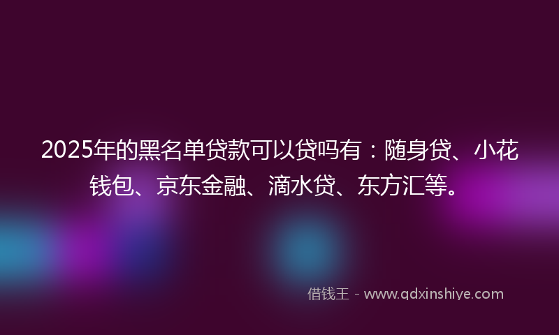 2025年的黑名单贷款可以贷吗有：随身贷、小花钱包、京东金融、滴水贷、东方汇等。