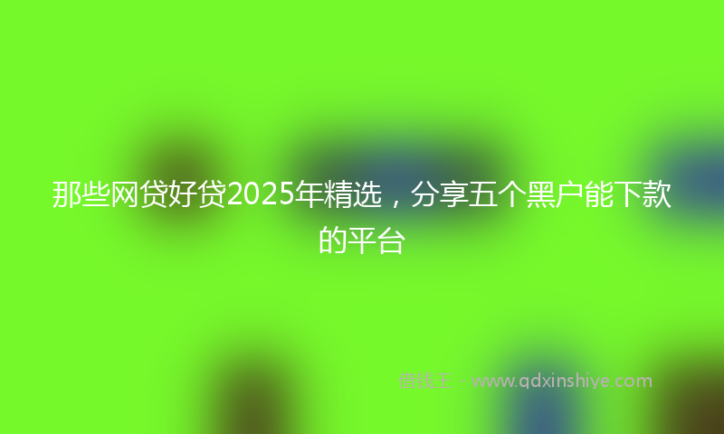 那些网贷好贷2025年精选，分享五个黑户能下款的平台