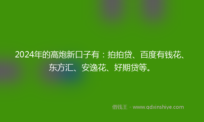 2024年的高炮新口子有：拍拍贷、百度有钱花、东方汇、安逸花、好期贷等。
