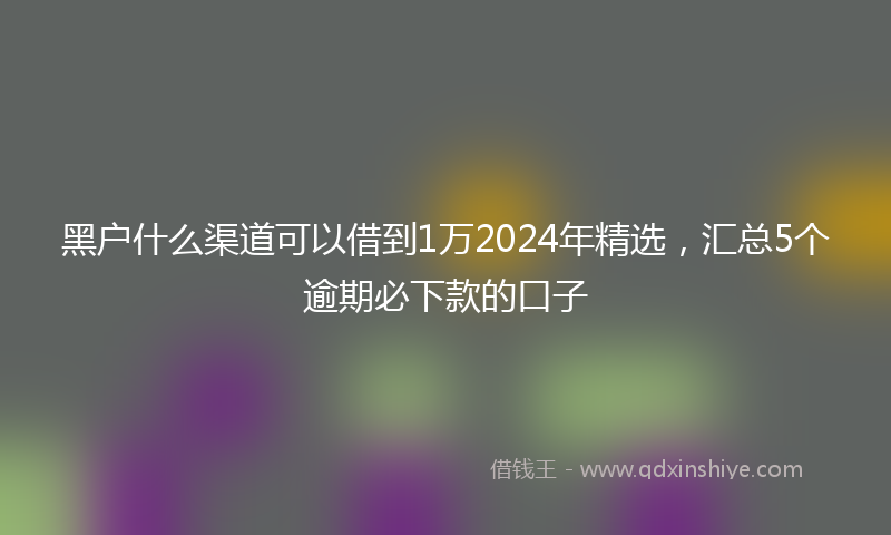黑户什么渠道可以借到1万2024年精选，汇总5个逾期必下款的口子