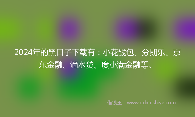 2024年的黑口子下载有：小花钱包、分期乐、京东金融、滴水贷、度小满金融等。