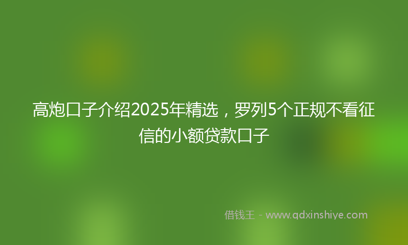 高炮口子介绍2025年精选，罗列5个正规不看征信的小额贷款口子