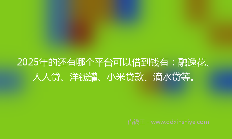 2025年的还有哪个平台可以借到钱有：融逸花、人人贷、洋钱罐、小米贷款、滴水贷等。