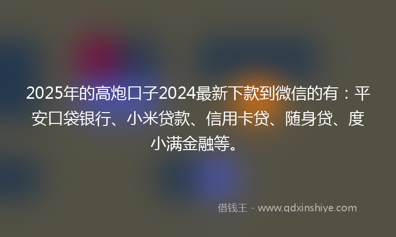 2025年的高炮口子2024最新下款到微信的有：平安口袋银行、小米贷款、信用卡贷、随身贷、度小满金融等。