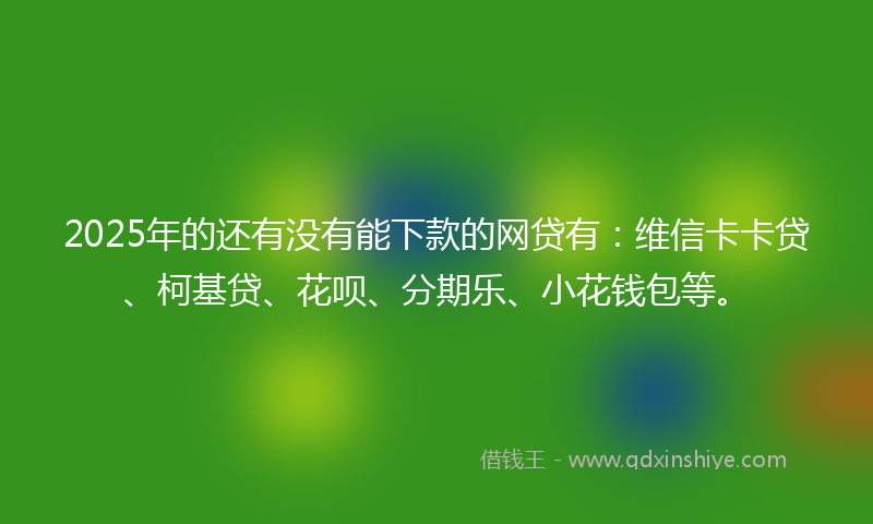 2025年的还有没有能下款的网贷有：维信卡卡贷、柯基贷、花呗、分期乐、小花钱包等。