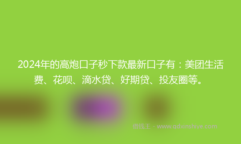 2024年的高炮口子秒下款最新口子有：美团生活费、花呗、滴水贷、好期贷、投友圈等。