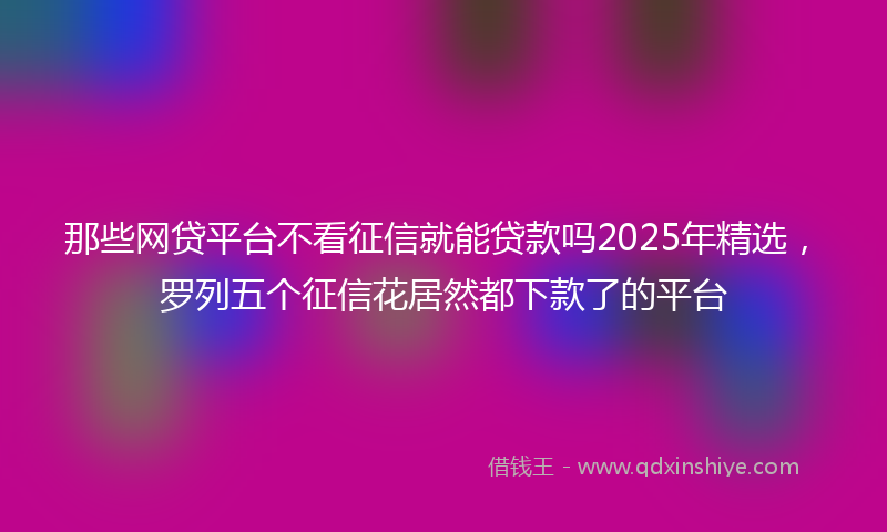 那些网贷平台不看征信就能贷款吗2025年精选，罗列五个征信花居然都下款了的平台