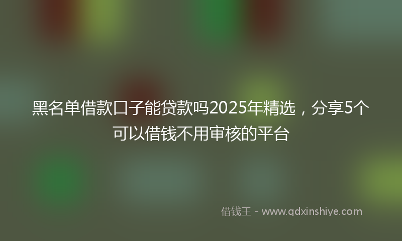 黑名单借款口子能贷款吗2025年精选，分享5个可以借钱不用审核的平台