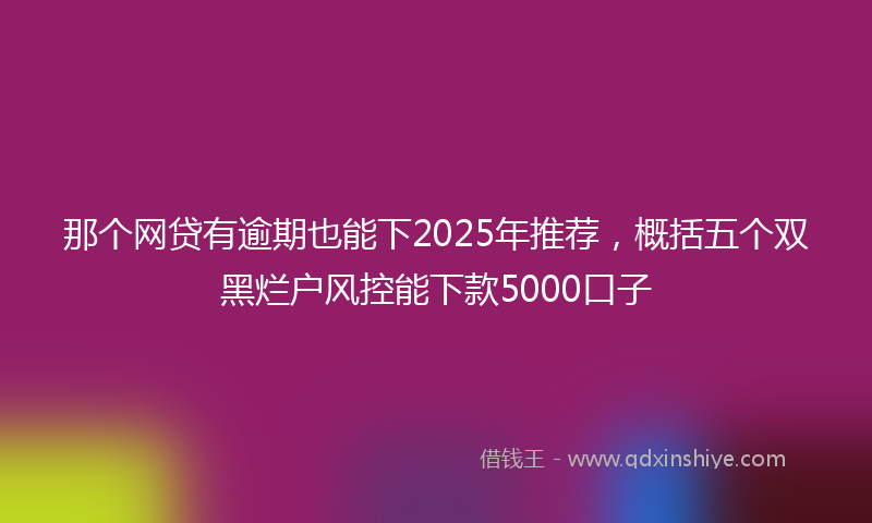 那个网贷有逾期也能下2025年推荐，概括五个双黑烂户风控能下款5000口子