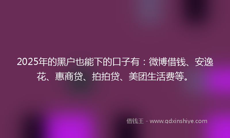 2025年的黑户也能下的口子有：微博借钱、安逸花、惠商贷、拍拍贷、美团生活费等。